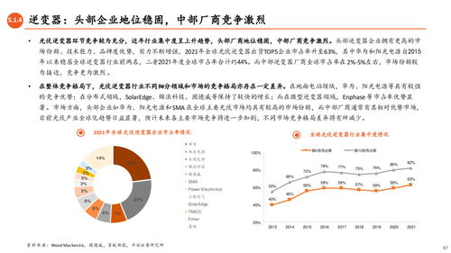 光伏產(chǎn)業(yè)全景圖 N型技術(shù)驅(qū)動(dòng)變革，一體化擴(kuò)產(chǎn)與競爭加劇
